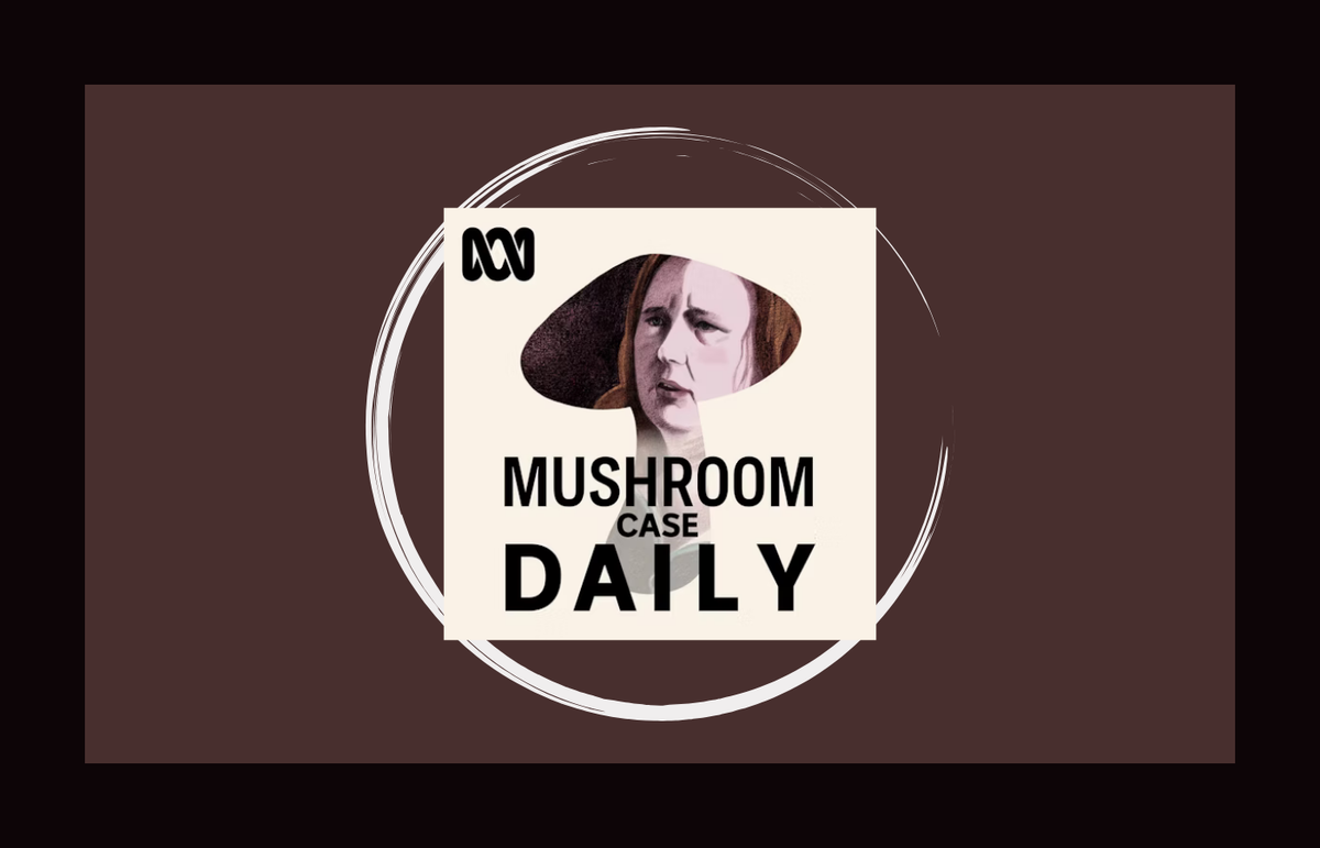 Review: Mushroom Case Daily