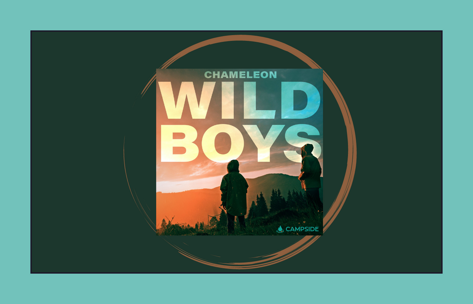 Review: Chameleon- Wild Boys