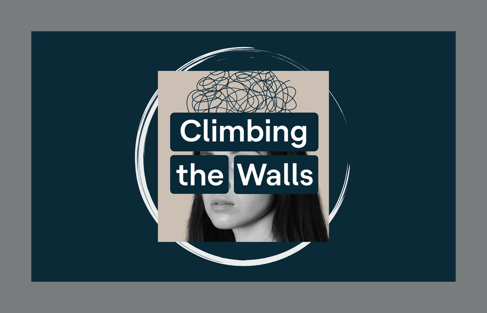 Review: Climbing the Walls